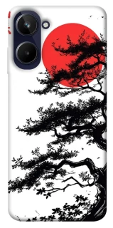 Чехол на Realme 10 4G Дух Японии v2 фото 1 из 1