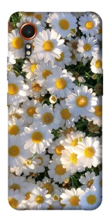 Чехол на Samsung Galaxy Xcover7 Поле ромашек фото 1 из 1
