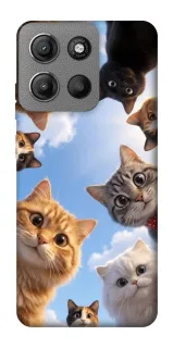 Чехол на Motorola Moto G15 4G Cats фото 1 из 1