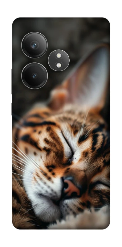 Чохол на Realme GT Neo 6 Cat paws фото 1 з 1