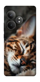 Чохол на Realme GT Neo 6 Cat paws фото 1 з 1