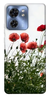 Чохол на Motorola Edge 40 Поле маків фото 1 з 1