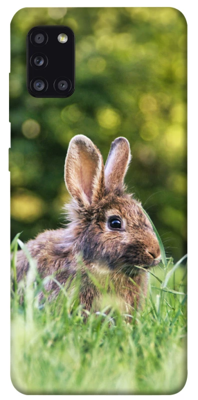 Чохол на Samsung Galaxy A31 Кролики фото 1 з 1