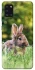 Чохол на Samsung Galaxy A31 Кролики фото 1 з 1