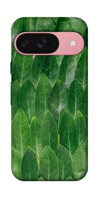 Чохол на Google Pixel 9 Листя фото 1 з 1
