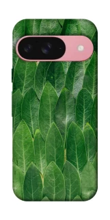 Чохол на Google Pixel 9 Листя фото 1 з 1