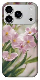 Чехол на Apple iPhone 17 Pro Max (6.9") Spring фото 1 из 1