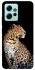 Чохол на Xiaomi Redmi Note 12 4G Leopard v2 фото 1 з 1