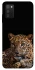 Чехол на Samsung Galaxy A03s Leopard v4 фото 1 из 1
