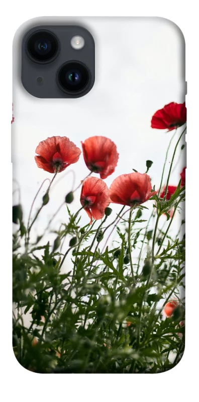 Чохол на Apple iPhone 14 (6.1") Поле маків фото 1 з 1