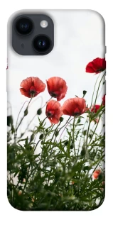 Чохол на Apple iPhone 14 (6.1") Поле маків фото 1 з 1