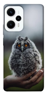 Чехол на Xiaomi Poco F5 / Note 12 Turbo Совёнок фото 1 из 1