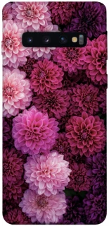 Чохол на Samsung Galaxy S10 Garden1 фото 1 з 1