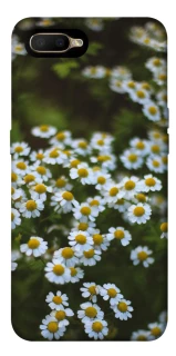 Чехол на OPPO A5 / A3S / AX5 / R15-NEO Ромашки v13 фото 1 из 1