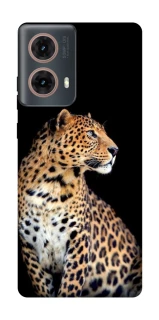 Чохол на Motorola Moto G85 Leopard v2 фото 1 з 1