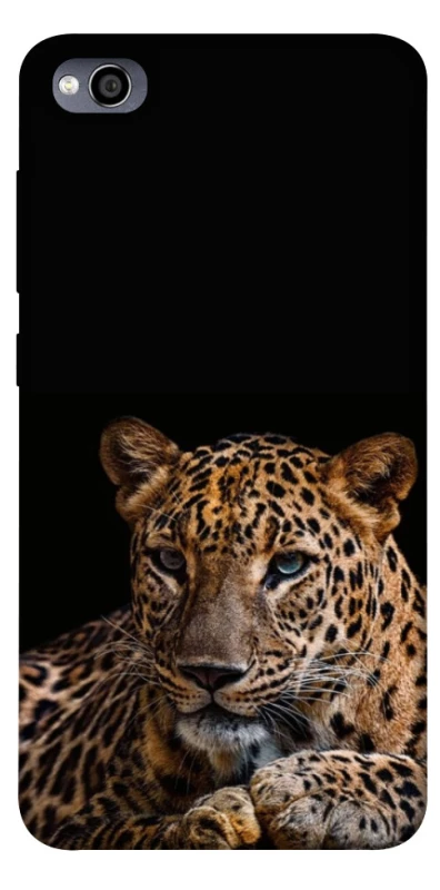 Чохол на Xiaomi Redmi 4a Leopard v4 фото 1 з 1
