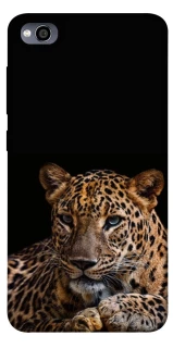 Чохол на Xiaomi Redmi 4a Leopard v4 фото 1 з 1