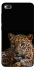 Чохол на Xiaomi Redmi 4a Leopard v4 фото 1 з 1