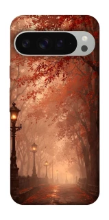 Чехол на Google Pixel 9 Pro XL boulevard фото 1 из 1