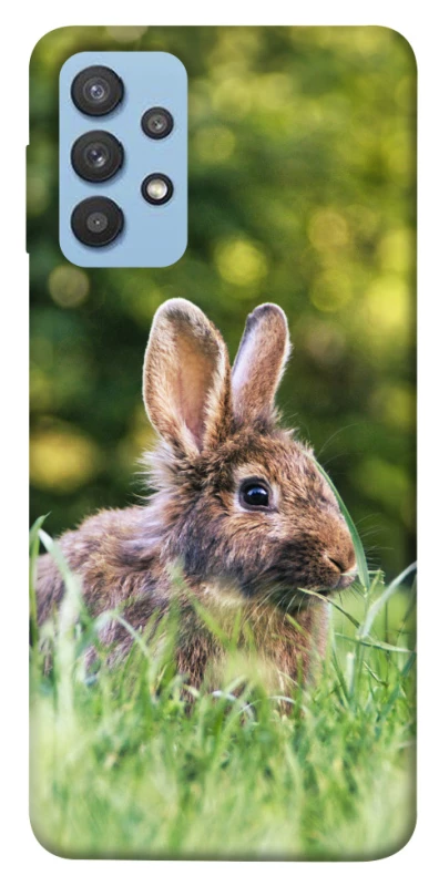 Чохол на Samsung Galaxy M32 Кролики фото 1 з 1