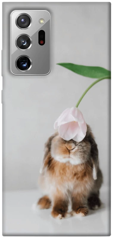 Чохол на Samsung Galaxy Note 20 Ultra Bunny фото 1 з 1