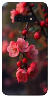 Чехол на Samsung Galaxy S10e Flowers v28 фото 1 из 1