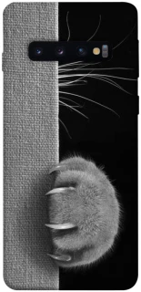 Чохол на Samsung Galaxy S10 Spy Cat фото 1 з 1