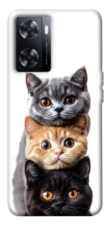 Чохол на OnePlus Nord N20 SE Гарні котики фото 1 з 1