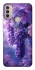 Чехол на Motorola Moto E40 Bunch of grapes фото 1 из 1