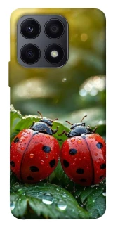 Чохол на Huawei Honor X8a Flowers v23 фото 1 з 1