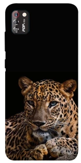 Чохол на TECNO POP 4 Pro Leopard v4 фото 1 з 1