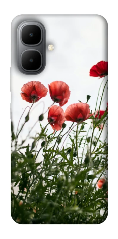 Чохол на Infinix Smart 10 Поле маків фото 1 з 1