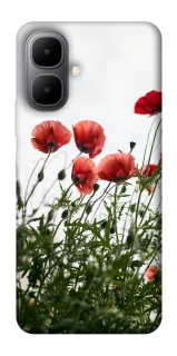 Чохол на Infinix Smart 10 Поле маків фото 1 з 1