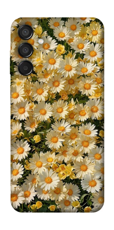 Чохол на Samsung Galaxy M15 5G Camomile фото 1 з 1