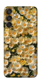 Чохол на Samsung Galaxy M15 5G Camomile фото 1 з 1