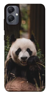 Чехол на Samsung Galaxy A05 Панда фото 1 из 1