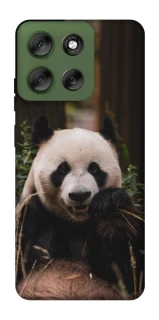 Чехол на Motorola Moto G56 5G Панда фото 1 из 1