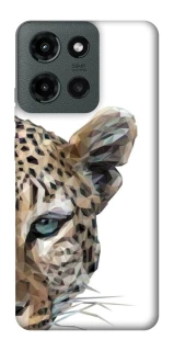 Чехол на Motorola Moto G Power (2025) Leopard Art v2 фото 1 из 1