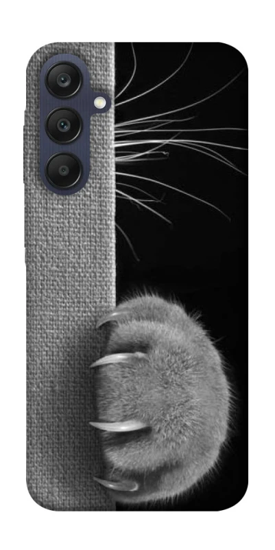 Чехол на Samsung Galaxy A25 5G Spy Cat фото 1 из 1