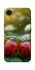 Чохол на Apple iPhone 16e (6.1") Flowers v23 фото 1 з 1