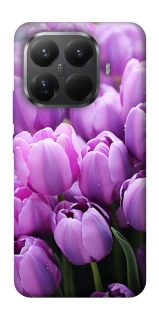 Чохол на Xiaomi 15T Pro Фіолетові тюльпани фото 1 з 1