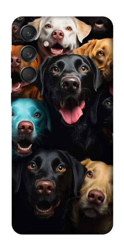 Чехол на Samsung Galaxy M55 Собаки фото 1 из 1