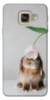 Чохол на Samsung A520 Galaxy A5 (2017) Bunny фото 1 з 1