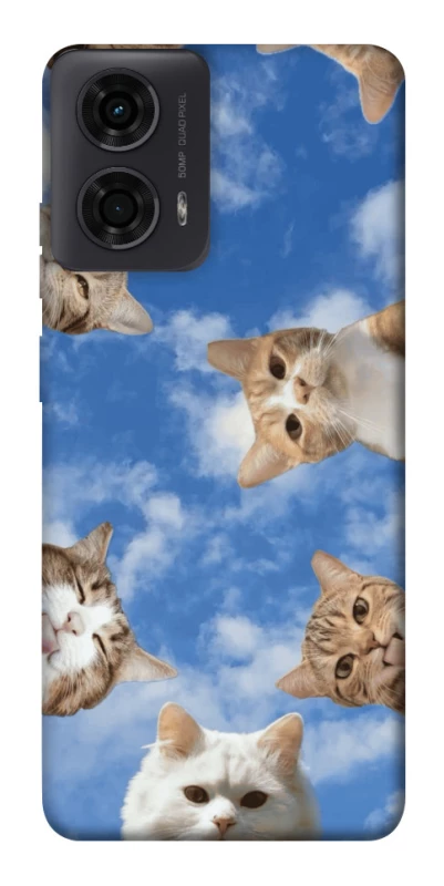 Чохол на Motorola Moto G24 Сats фото 1 з 1