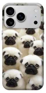 Чохол на Apple iPhone 18 Pro Max Doggy Pug Love фото 1 з 1
