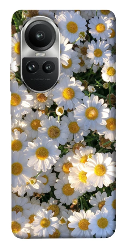 Чохол на Oppo Reno 10 Поле ромашок фото 1 з 1