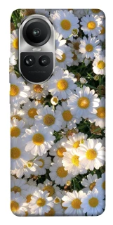 Чохол на Oppo Reno 10 Поле ромашок фото 1 з 1
