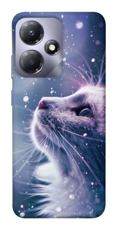 Чохол на Infinix Hot 30 Snow cat фото 1 з 1