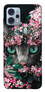 Чохол на Motorola Moto G23 Кіт в квітах фото 1 Чохол на Motorola Moto G23 Кіт в квітах фото 1 з 1