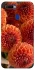 Чехол на Oppo A5s Flower1 фото 1 из 1